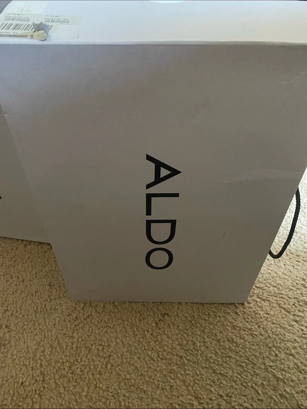 Aldo sleek over